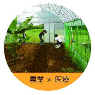 医療と農業